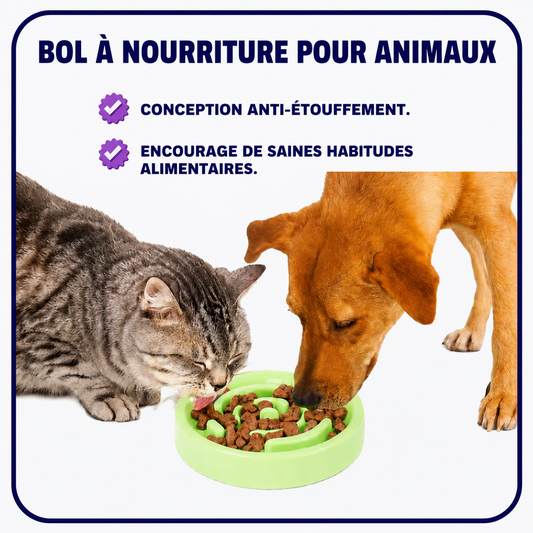 Gamelle pour animaux